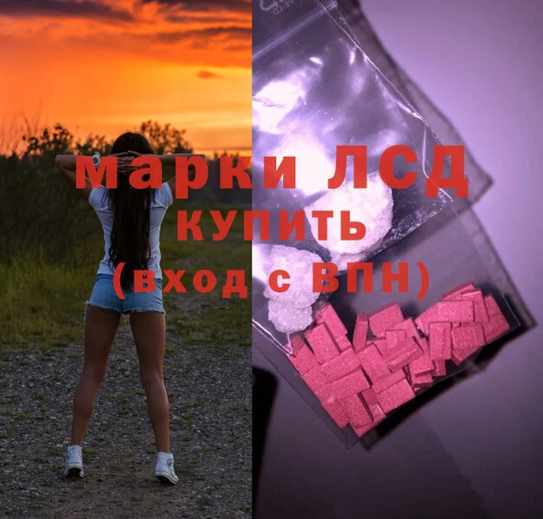 spice Аркадак