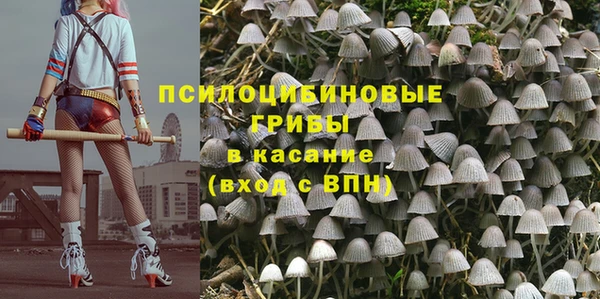 spice Аркадак